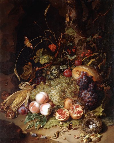 Zátiší s ovocem a hmyzem, od Rachel Ruysch