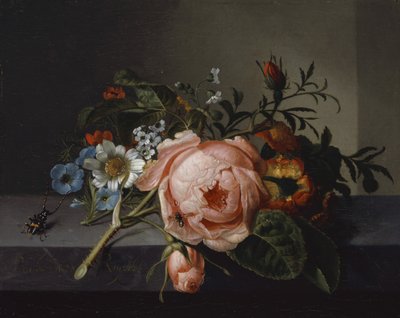 Zátiší s růžovou ratolestí, broukem a včelou, 1741 (olej na plátně na dubu) od Rachel Ruysch