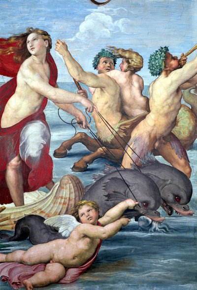 Galatea, detail mořanů a delfínů, 1506 detail fresky z 56473 od Raffaello Sanzio Raphael