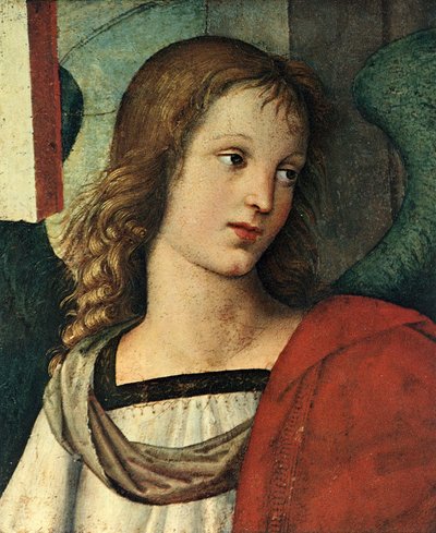 Hlava anděla, c. 1500 od Raffaello Sanzio Raphael