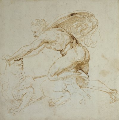 Herkules přemohl lva (pero a hnědý inkoust na bílém papíře) od Raffaello Sanzio Raphael