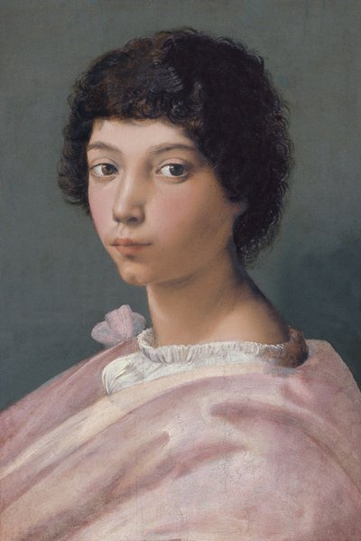 Portrét mladého muže od Raffaello Sanzio Raphael