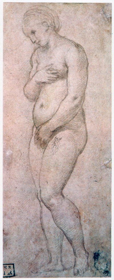Studium Venuše, c1500-1520 od Raffaello Sanzio Raphael