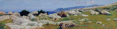 Castiglioncello z Punta del Bocca, asi 1864 (olej na plátně) od Raffaello Sernesi