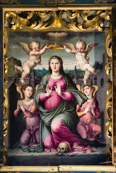 Madonna delle Grazie (olej na desce) od Raffaello dal Colle