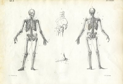 Člověk, 1863-79 od Raimundo Petraroja