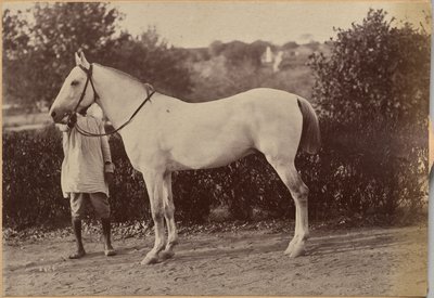  od Raja Deen Dayal