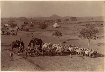  od Raja Deen Dayal