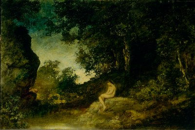 V zrcadle přírody od Ralph Albert Blakelock