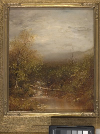 Bazén v Adirondacks (olej na plátně) od Ralph Albert Blakelock