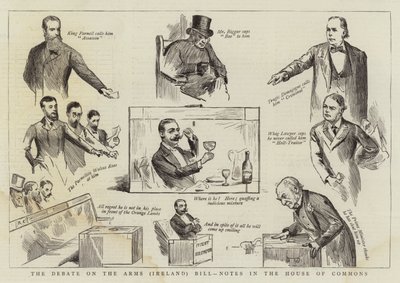 Návrh zákona o rozpravě o zbraních (Irsko), poznámky v Dolní sněmovně od Randolph Caldecott
