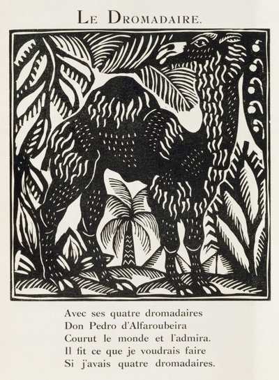 Dromedár, ilustrace z knihy "Bestiář aneb Orfeův průvod od Raoul Dufy