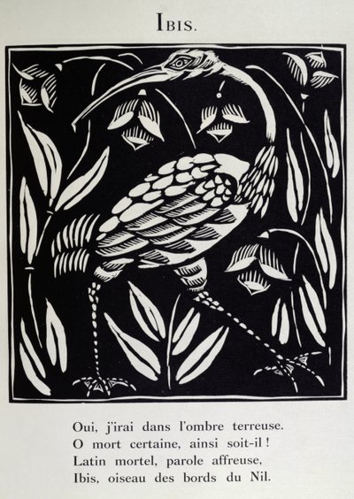 Ibis, ilustrace z "Bestiáře" aneb "Orfeův průvod" od Guillauma Apollinaira (1880-1918) 1911 (dřevoryt) od Raoul Dufy