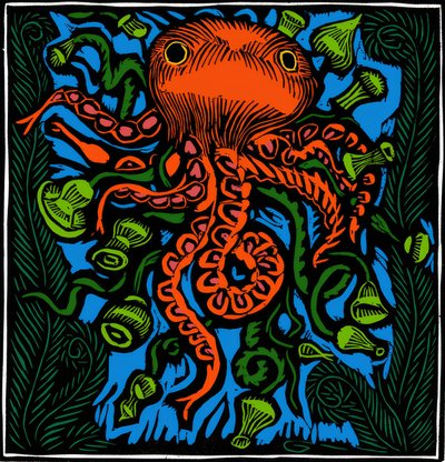 Zoologie / Mořský život / Chobotnice od Raoul Dufy