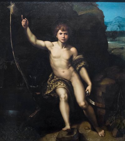 Johannes der Täufer von Raphael (1483-1520) (& studio)