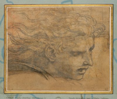 Hlava mladého muže, tři čtvrtiny směrem doprava ... od Raphael (1483-1520)