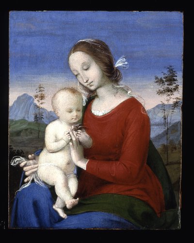 Madonna a dítě s ptákem (olej na dřevě) od Raphael (1483 1520)