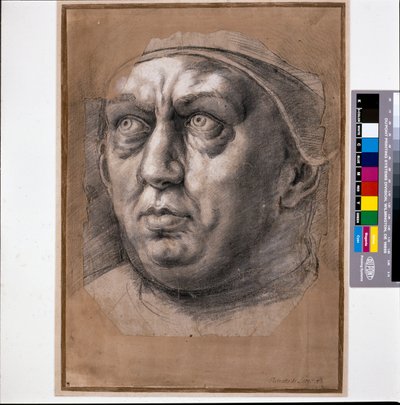 Papež Leo X (černá křída na papíře) od Raphael (1483 1520)
