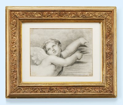 Hlava putta (černá křída na papíře) od after Raphael