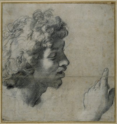 Studium hlavy a ruky od Raphael