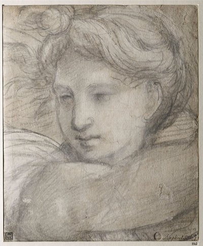 Raffaello Sanzio - hlava anděla par Raphael (1483-1520), c. 1520 - Černobílá křída na papíře, 30,8x25,4 - Szepmuveszeti Muzeum, Budapešť od Raphael