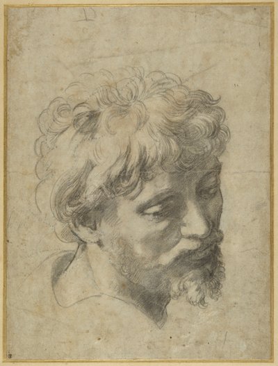 Studie pro učedníka zcela vlevo od „Proměny“ (černá křída na zašedlém papíře) od Raphael