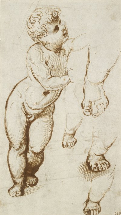 The Infant Christ a další studie (pero a tmavě hnědý inkoust přes předběžné indikace v leadpointu, na bílém papíře) od Raphael
