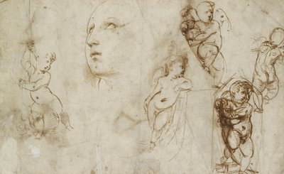 Různé studie, především pro Borghese-Beckford St Catherine (pero a hnědý inkoust na špinavě bílém papíře) od Raphael