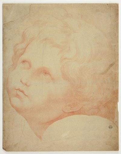 Dětská hlava, pohled vzhůru od Raphael