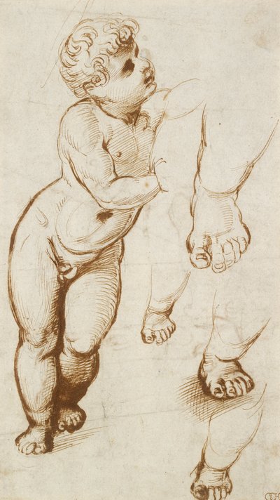 Recto: The Infant Christ and other Studies, 1500-1520 od Raphael