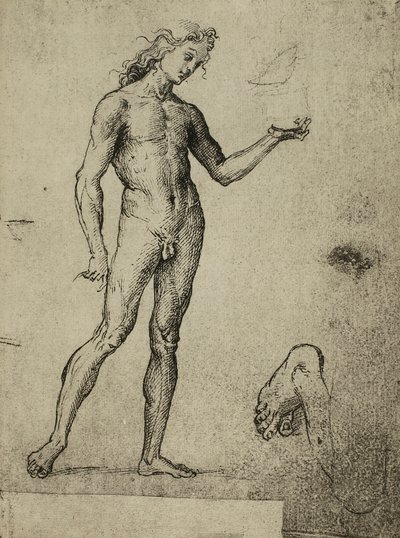 Studie mužského aktu; kresba od Raphaela. Gallerie dellAccademia, Benátky od Raffaello Sanzio Raphael