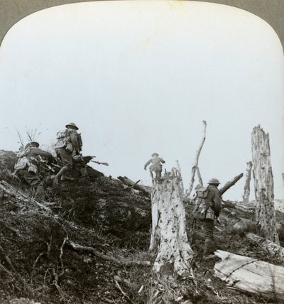 Útok v Trones Wood, Somme, Francie, první světová válka, 1916 od Realistic Travels Publishers