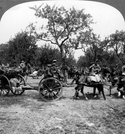 Dělostřelectvo tažené koňmi, první světová válka, 1914-1918. od Realistic Travels Publishers