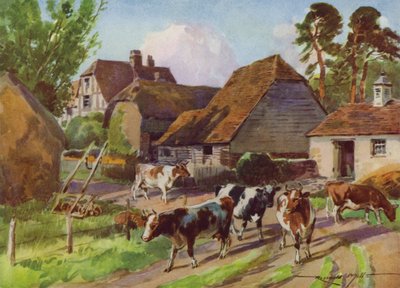 Ilustrace pro Moje farma (barevné lito) od Reginald Mills
