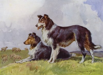 Ilustrace pro Moje farma (barevné lito) od Reginald Mills