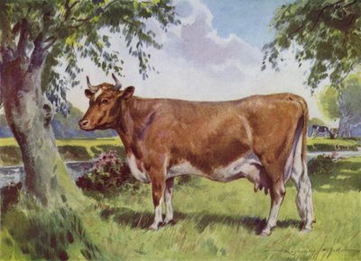 Ilustrace pro Moje farma (barevné lito) od Reginald Mills