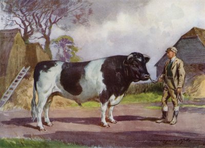 Ilustrace pro Moje farma (barevné lito) od Reginald Mills
