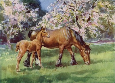 Ilustrace pro Moje farma (barevné lito) od Reginald Mills