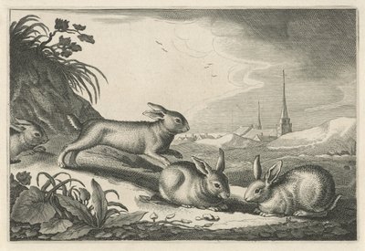 Duna krajina s králíky Diversa Animalia Quadrupedia (název série) od Reinier van Persijn
