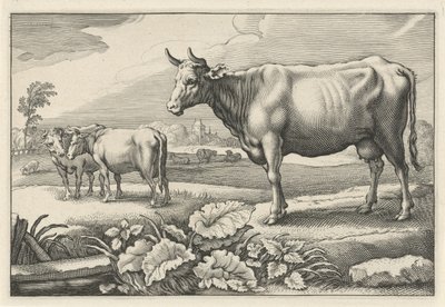 Pastviny s krávami Diversa Animalia Quadrupedia (název série) od Reinier van Persijn