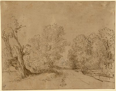 Zalesněná cesta od Rembrandt Harmensz. van Rijn