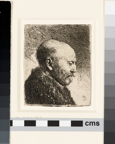 Holohlavý muž z profilu vpravo: Rembrandtův otec? od Rembrandt van Rijn