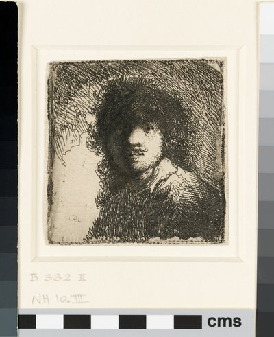 Autoportrét s prostou hlavou: busta, cca 1629 (lept) od Rembrandt van Rijn