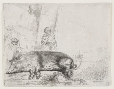 Prase od Rembrandt van Rijn