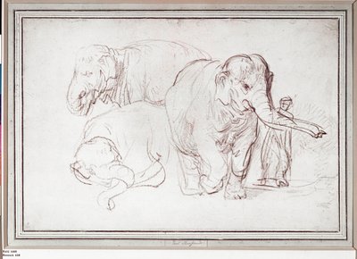  od Rembrandt Harmensz. van Rijn