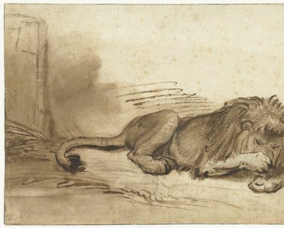 Ležící lev s přední tlapou přes tlamu od Rembrandt van Rijn (school of)