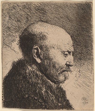 Plešatý muž z profilu (Umělcův otec?) od Rembrandt van Rijn