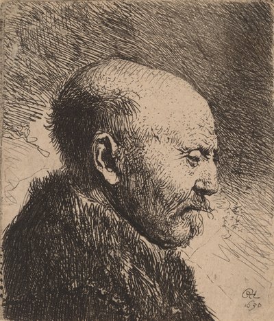 Plešatý muž z profilu Umělcův otec, 1630. od Rembrandt van Rijn