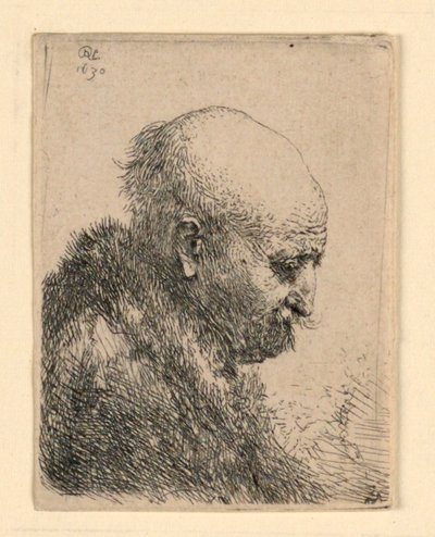 Holohlavý muž z profilu vpravo: Malé poprsí; Umělcův otec? od Rembrandt van Rijn