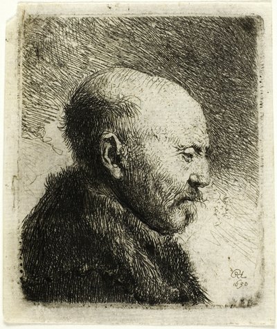 Plešatý muž z profilu vpravo: Umělcův otec () od Rembrandt van Rijn